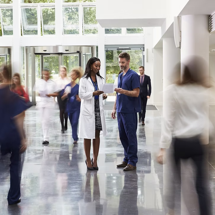 Domestic Distribution